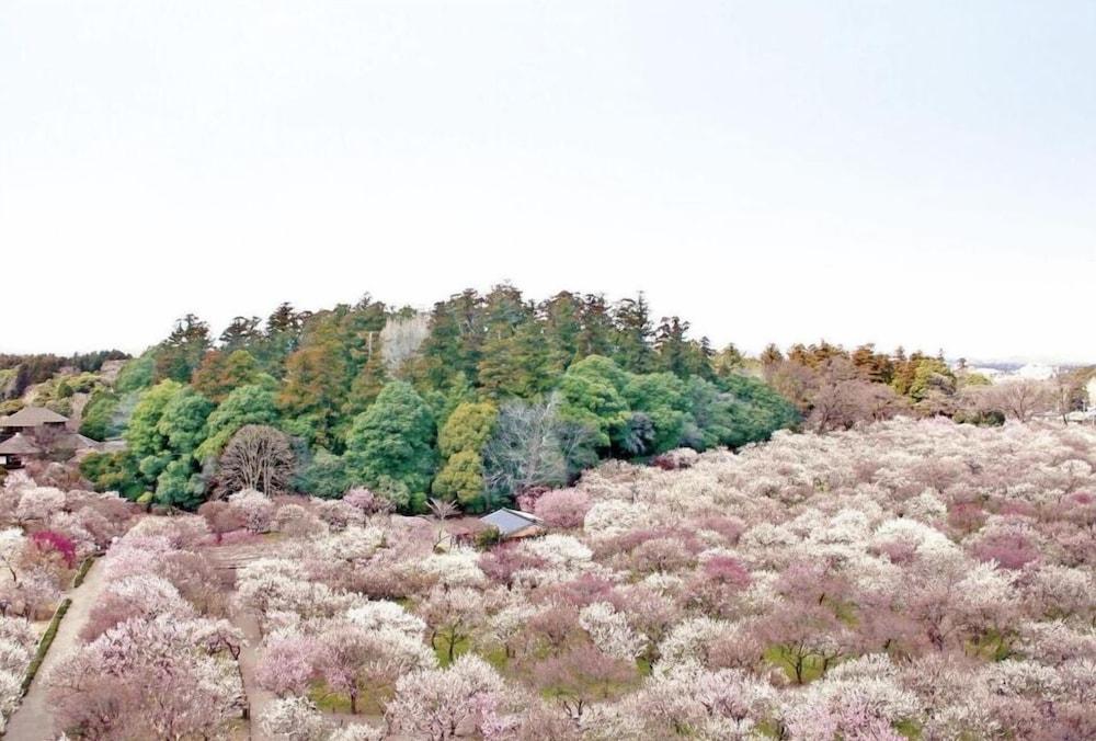 Mito Keisei Hotel Luaran gambar